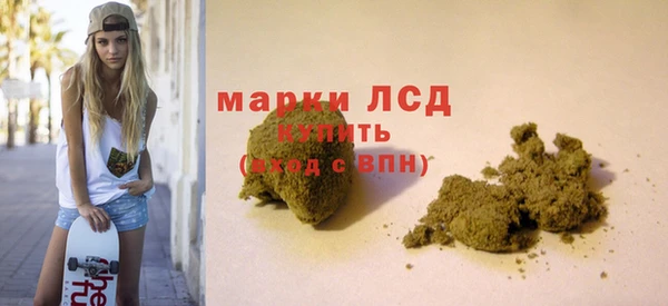 хмурый Абаза