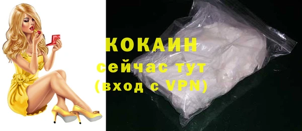 хмурый Абаза
