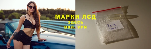 хмурый Абаза